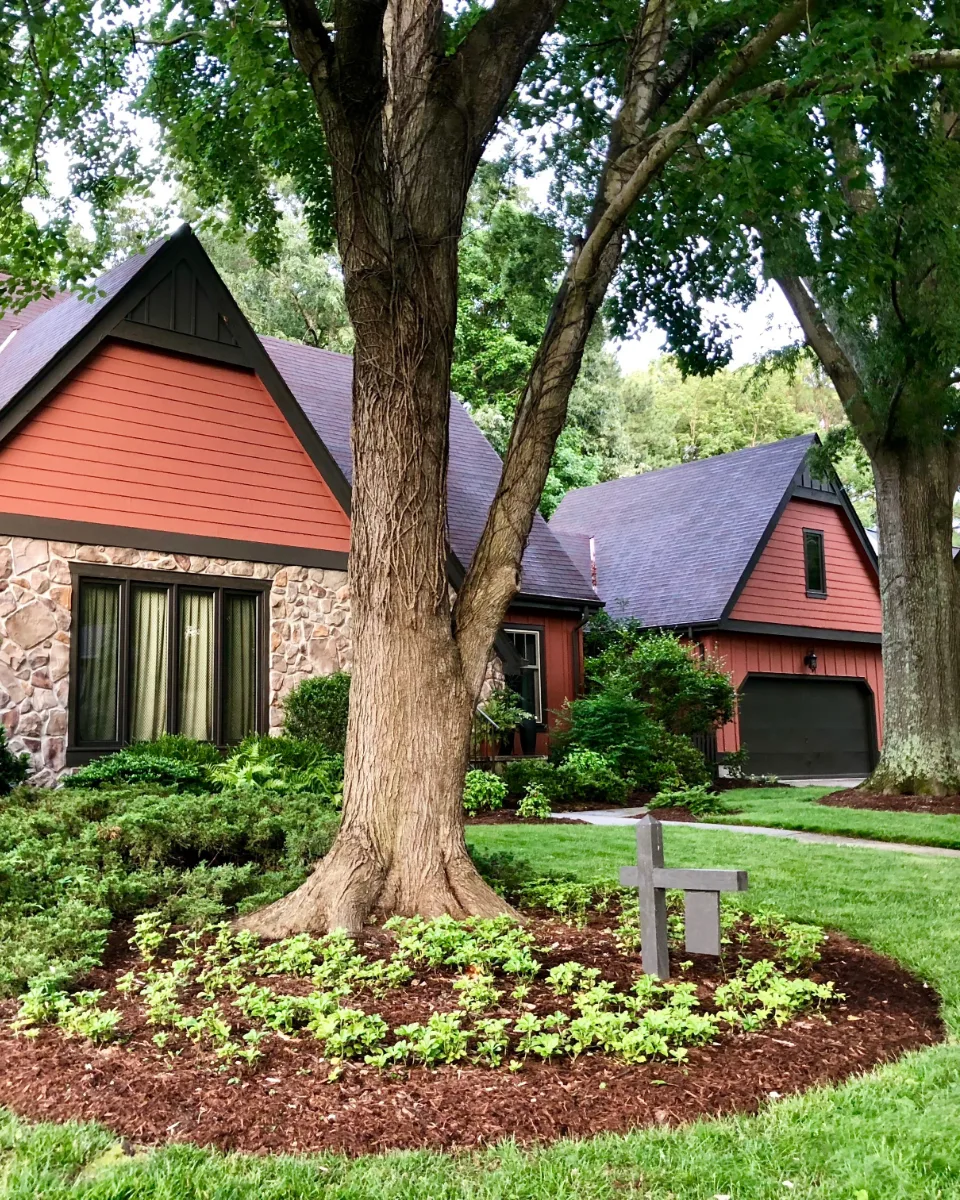 Fresh mulch bed with low plantings around a large tree on a mowed front lawn